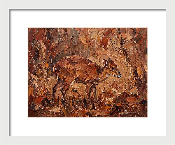 Bay Duiker In Autumn Hues