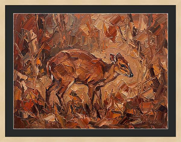Bay Duiker In Autumn Hues
