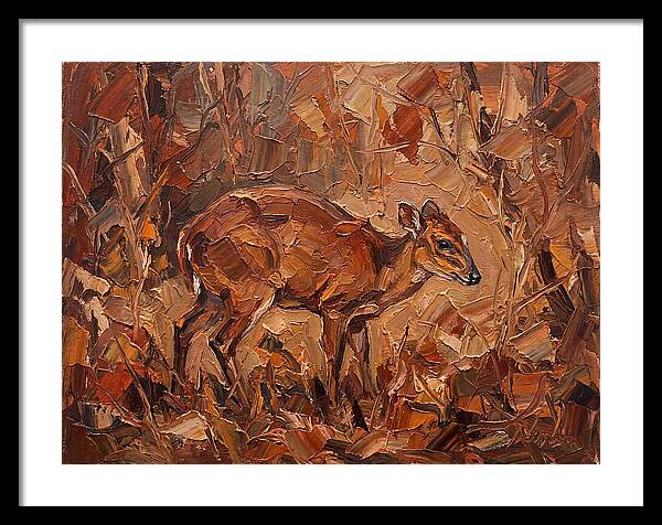 Bay Duiker In Autumn Hues