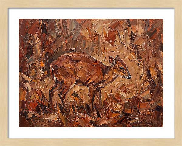 Bay Duiker In Autumn Hues