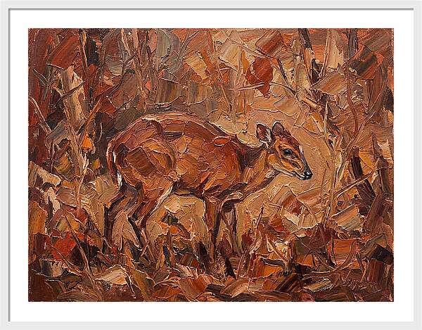 Bay Duiker In Autumn Hues