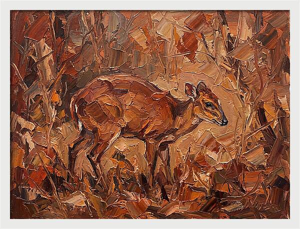 Bay Duiker In Autumn Hues