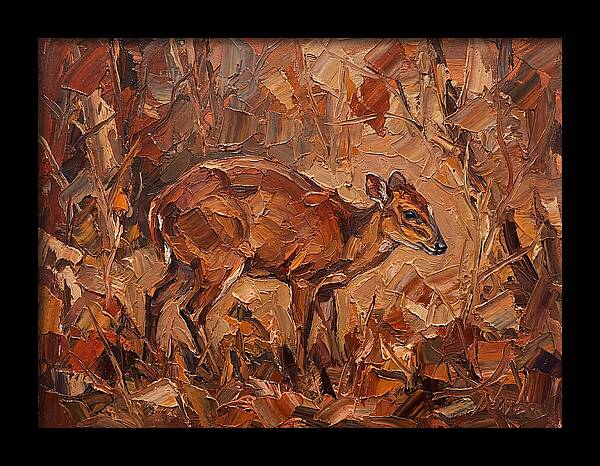 Bay Duiker In Autumn Hues