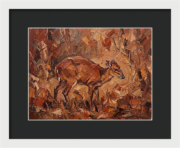 Bay Duiker In Autumn Hues