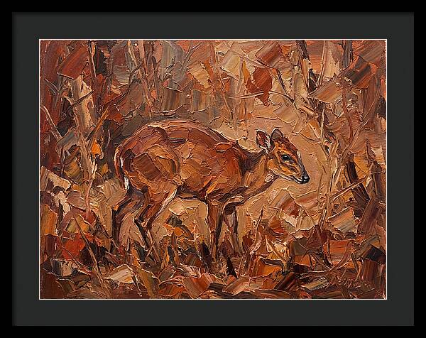 Bay Duiker In Autumn Hues