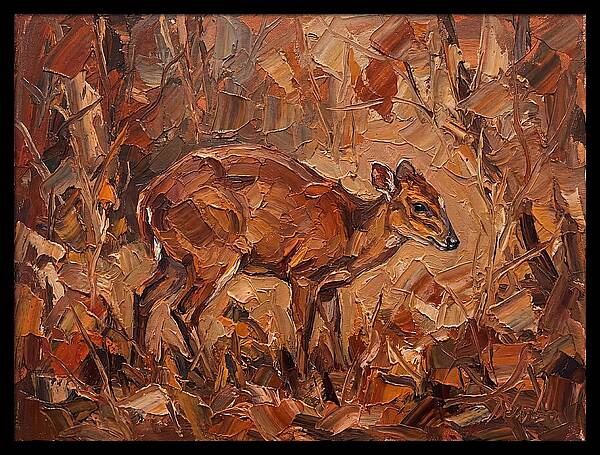 Bay Duiker In Autumn Hues