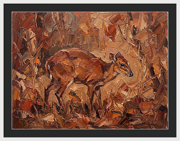 Bay Duiker In Autumn Hues