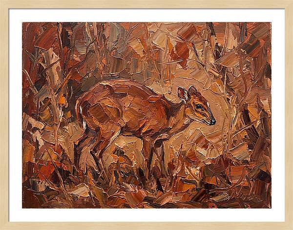 Bay Duiker In Autumn Hues
