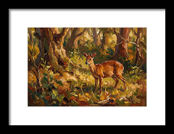 Bay Duiker In Sunlit Forest