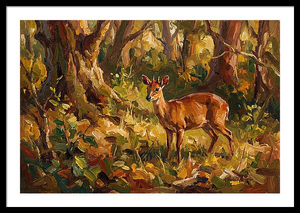 Bay Duiker In Sunlit Forest