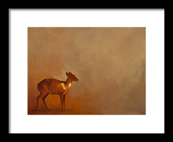 Bay Duiker In Warm Tones