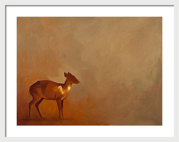 Bay Duiker In Warm Tones