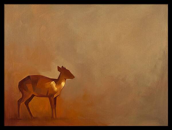 Bay Duiker In Warm Tones