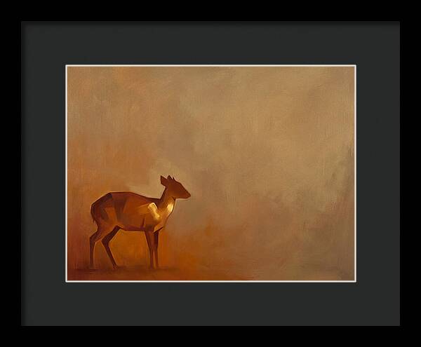 Bay Duiker In Warm Tones