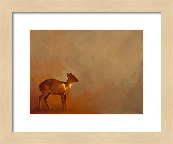 Bay Duiker In Warm Tones