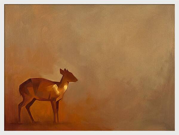 Bay Duiker In Warm Tones