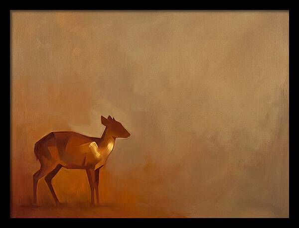 Bay Duiker In Warm Tones
