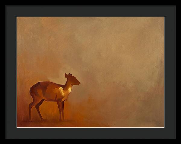 Bay Duiker In Warm Tones