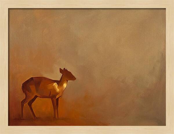 Bay Duiker In Warm Tones