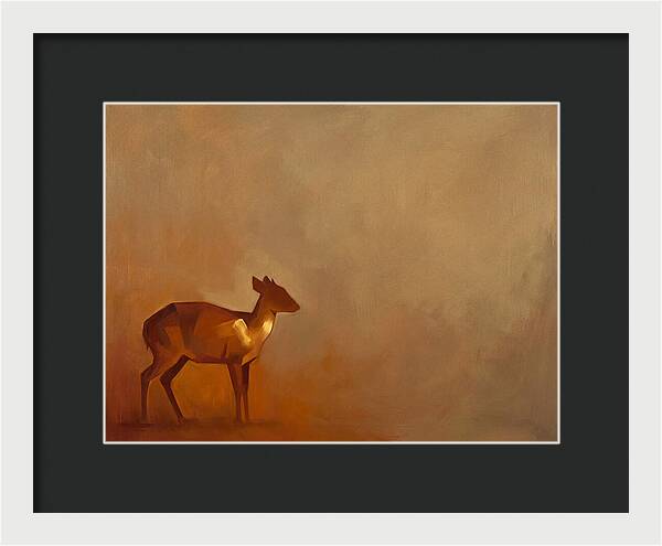 Bay Duiker In Warm Tones