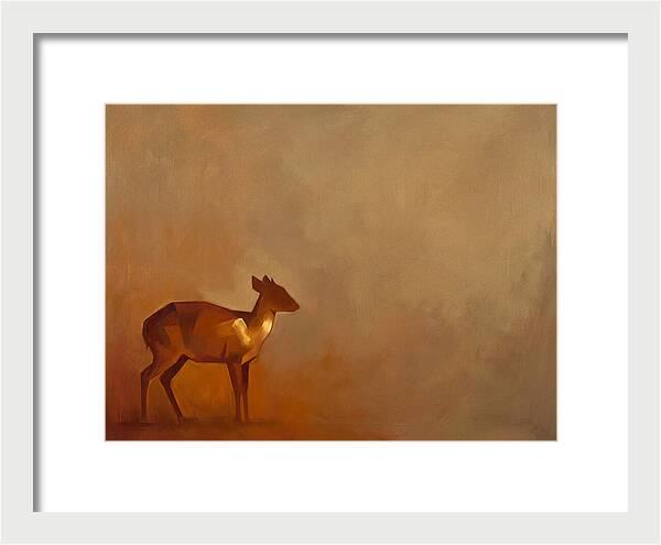 Bay Duiker In Warm Tones