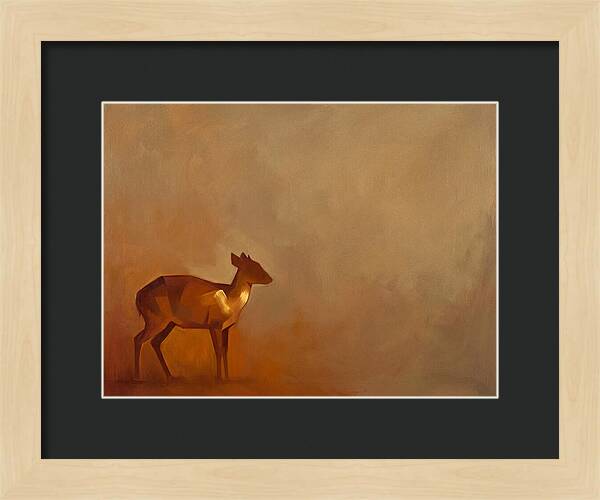 Bay Duiker In Warm Tones