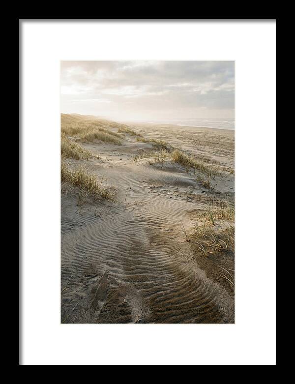 Beach Dunes At Dawn