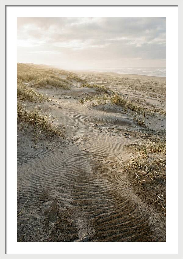 Beach Dunes At Dawn