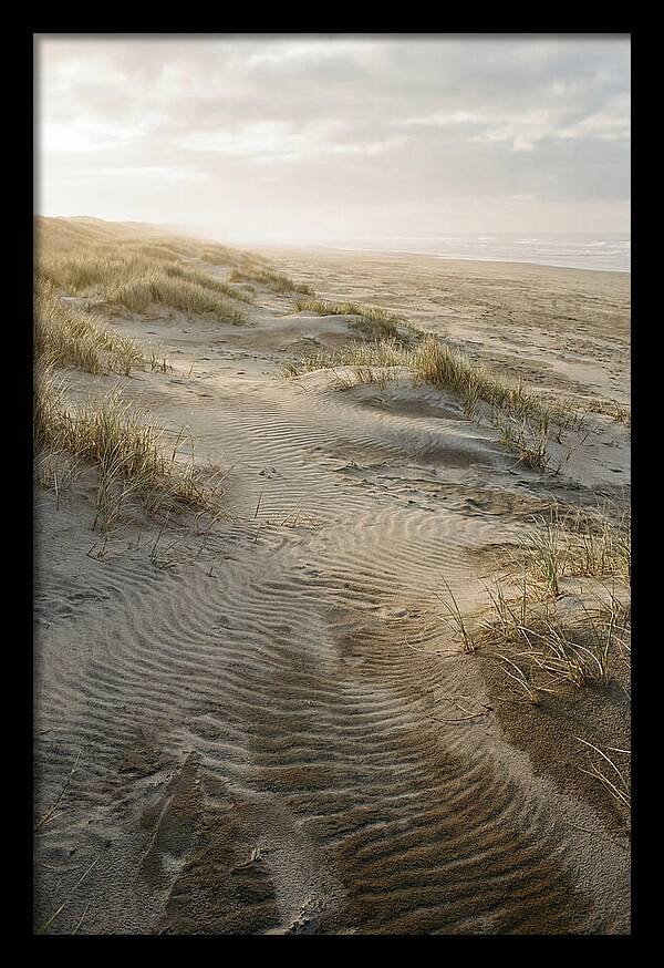 Beach Dunes At Dawn