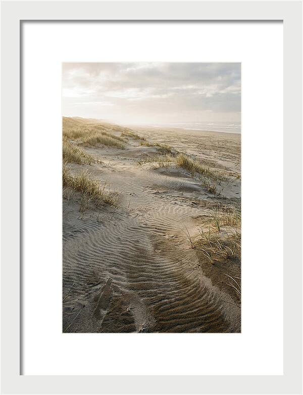 Beach Dunes At Dawn