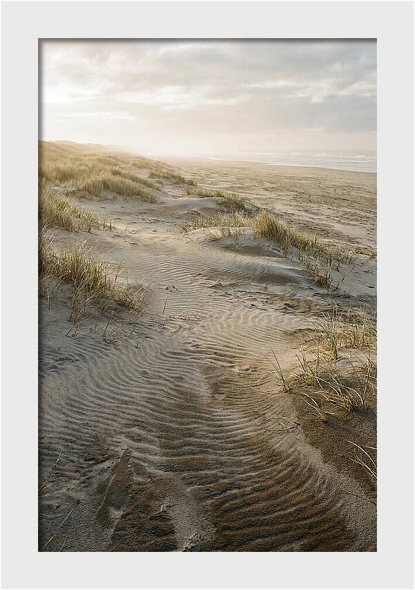 Beach Dunes At Dawn