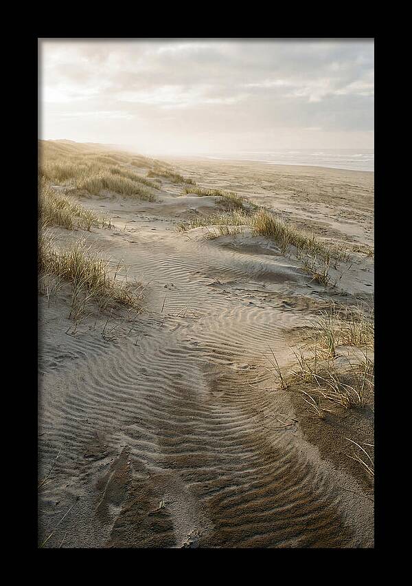 Beach Dunes At Dawn
