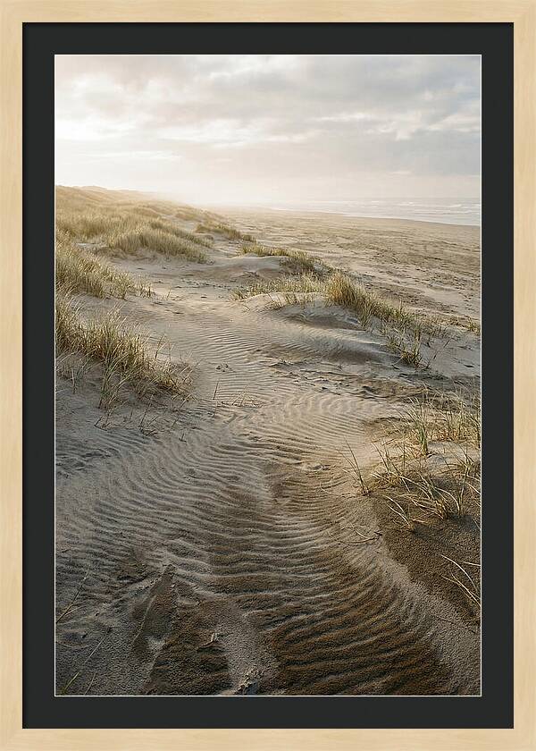 Beach Dunes At Dawn
