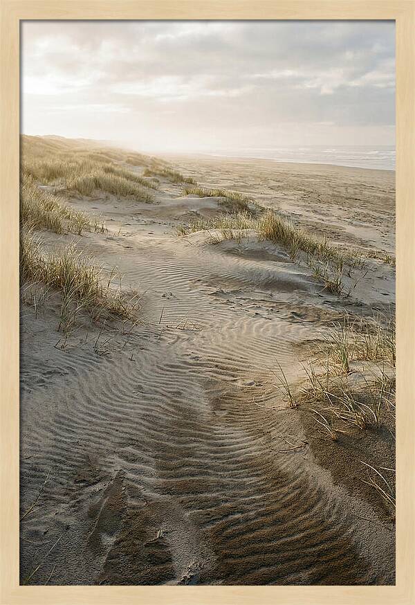 Beach Dunes At Dawn