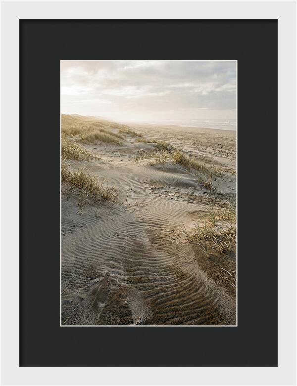 Beach Dunes At Dawn