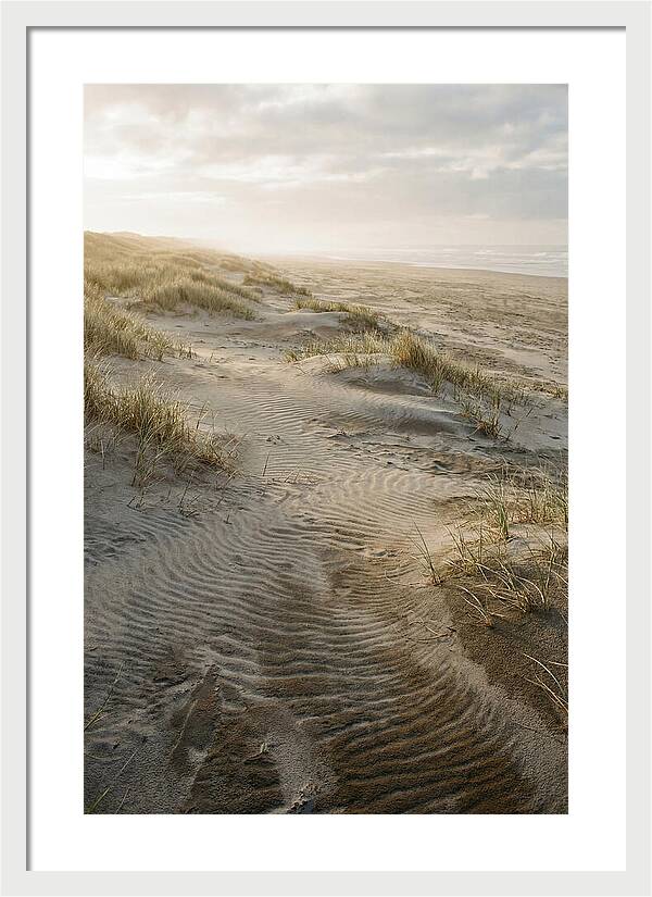 Beach Dunes At Dawn