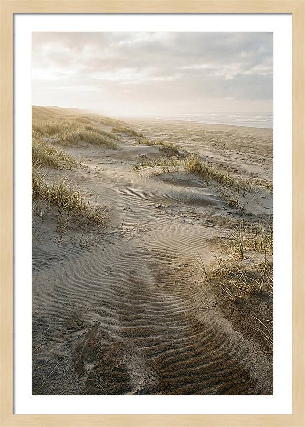 Beach Dunes At Dawn