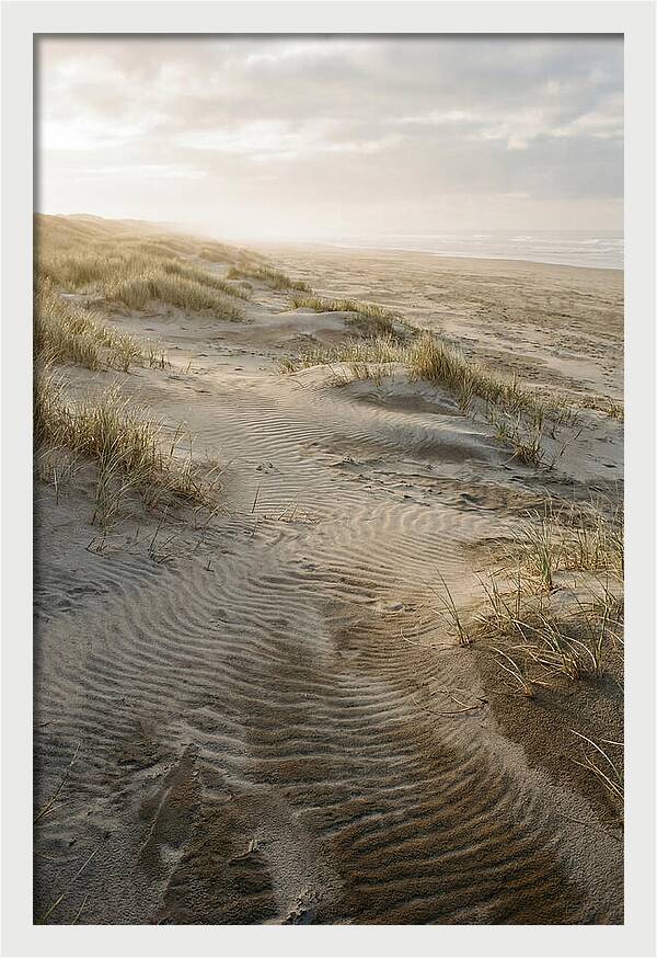 Beach Dunes At Dawn