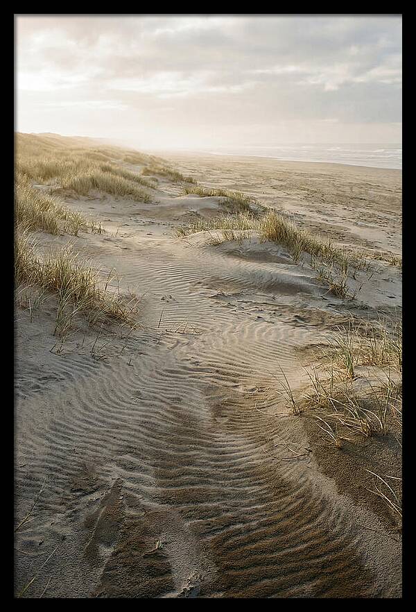 Beach Dunes At Dawn