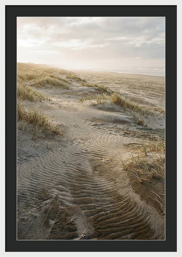 Beach Dunes At Dawn