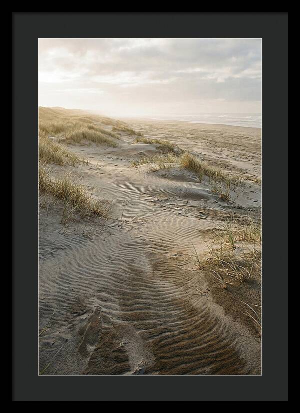 Beach Dunes At Dawn