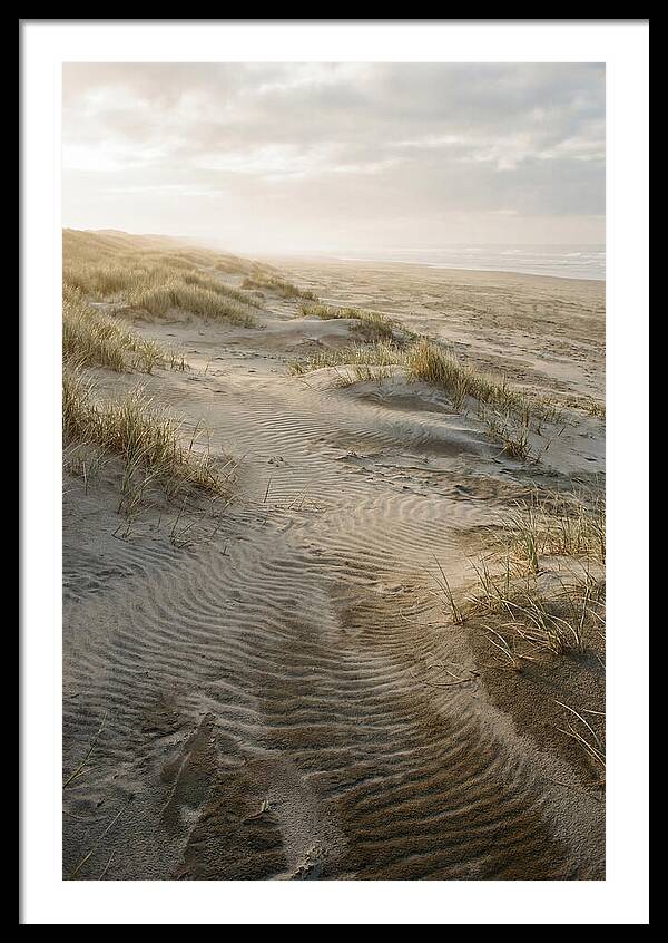 Beach Dunes At Dawn