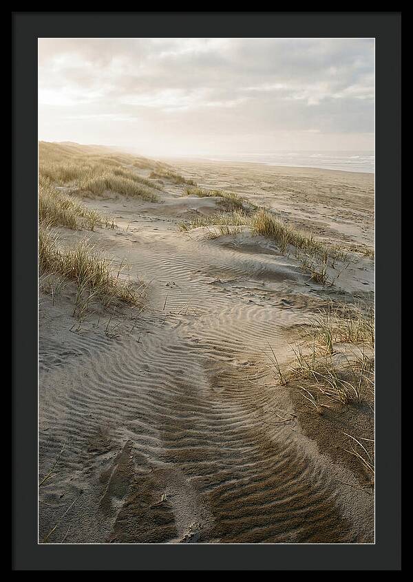 Beach Dunes At Dawn