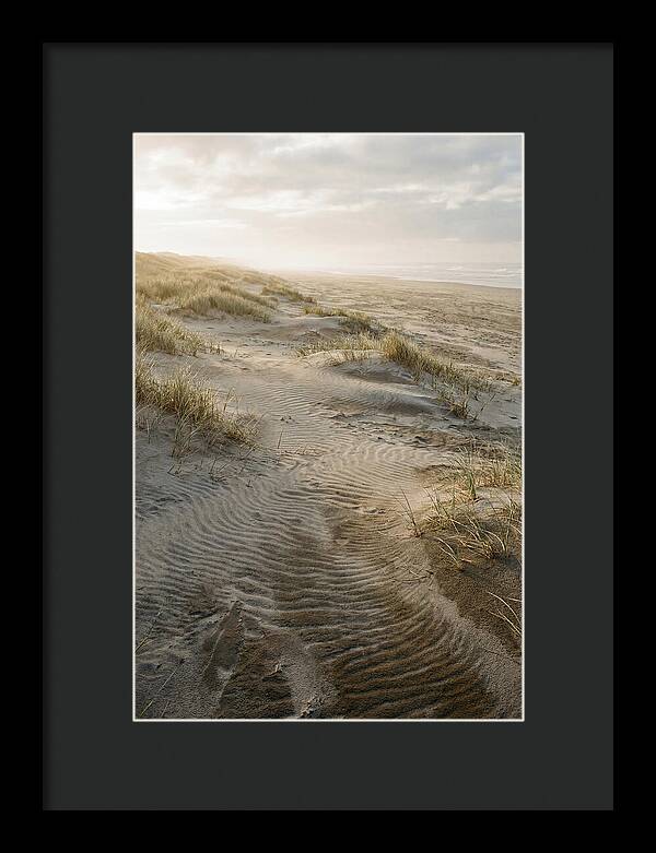 Beach Dunes At Dawn