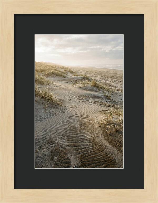 Beach Dunes At Dawn