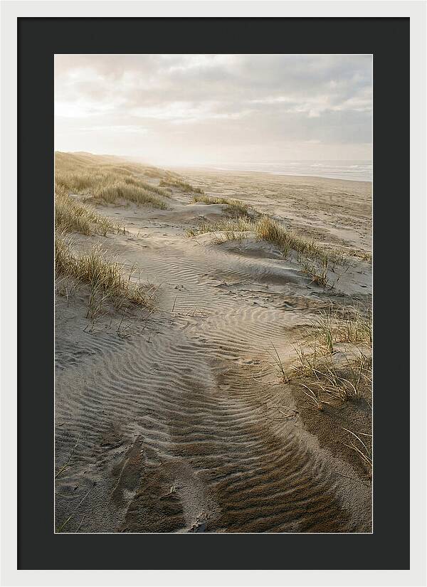 Beach Dunes At Dawn