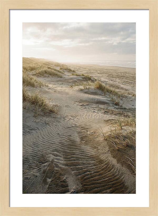 Beach Dunes At Dawn