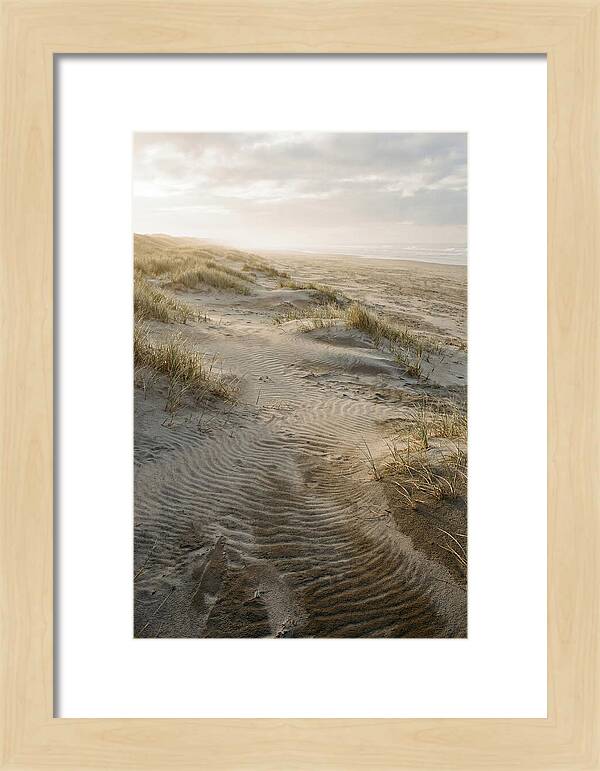Beach Dunes At Dawn