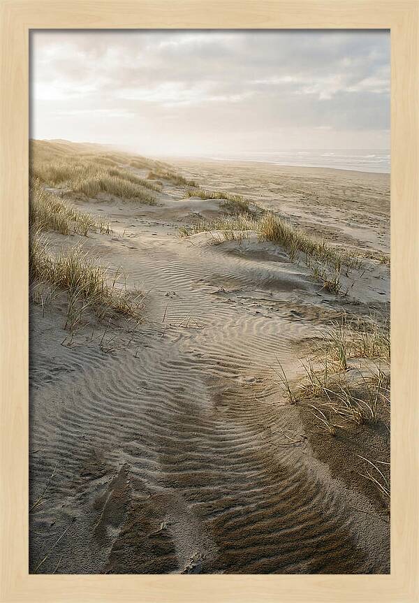 Beach Dunes At Dawn