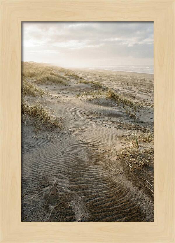 Beach Dunes At Dawn